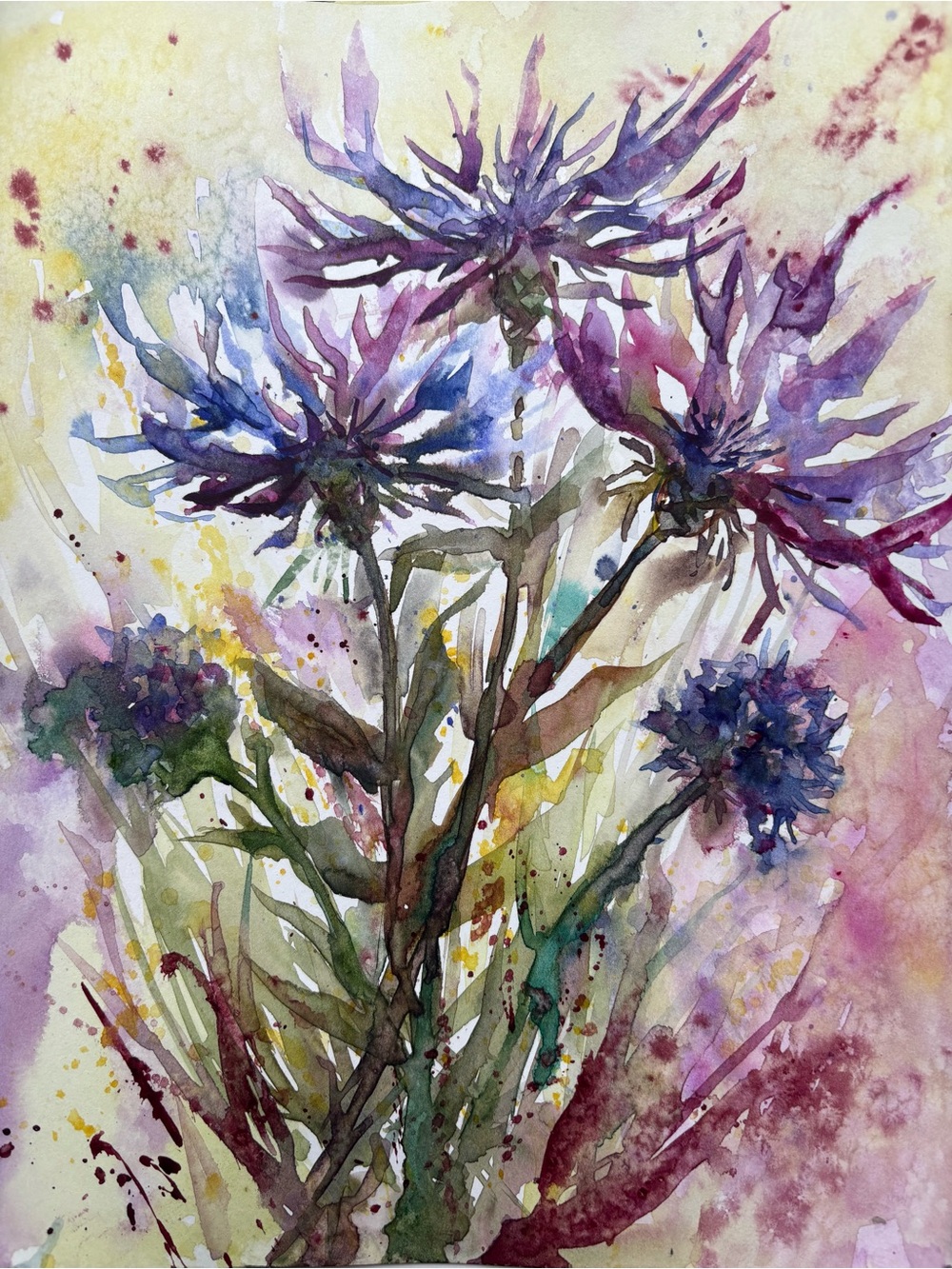 Watercolor painting “ corn flowers”